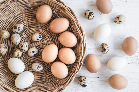Eggs