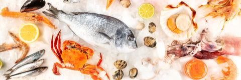 All Seafood