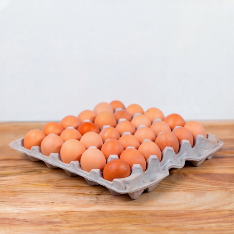 Organic Pasture Raised Chicken Eggs | 30 Eggs
