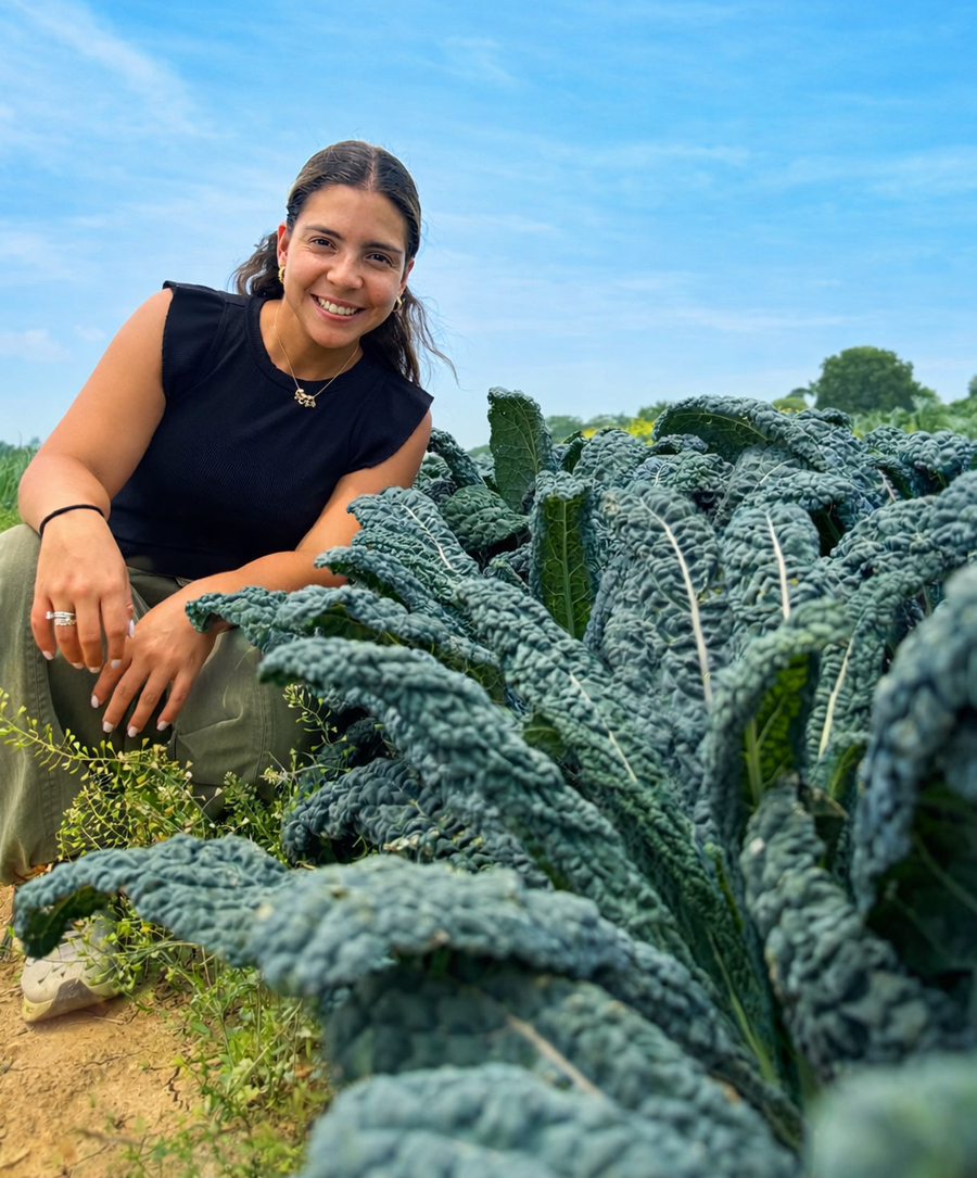 Fall to early winter harvest