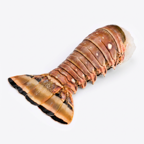 Wild Caught | Lobster Tail