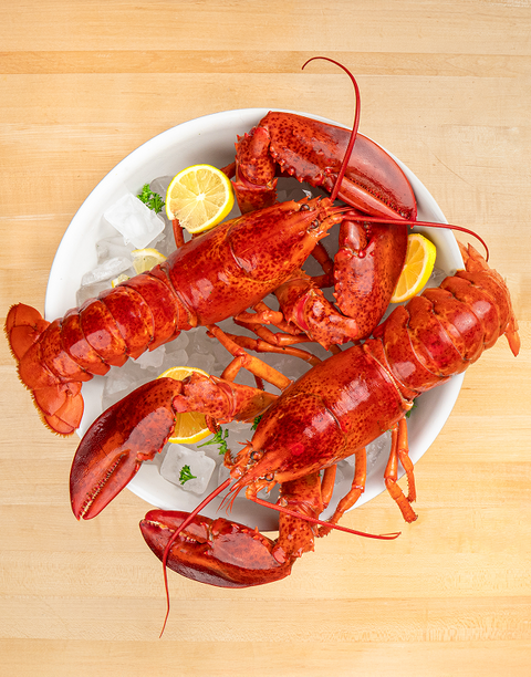 Live Quarter Lobsters - Lobsterboys